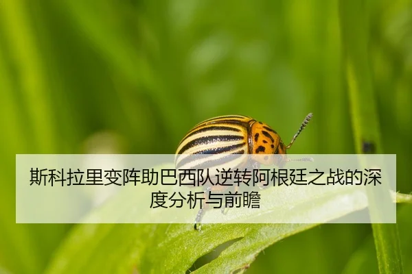 img_1787482440258_3_1_275.jpg