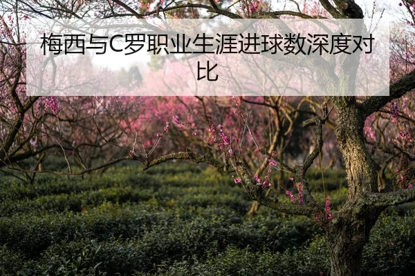 梅西与C罗职业生涯进球数深度对比